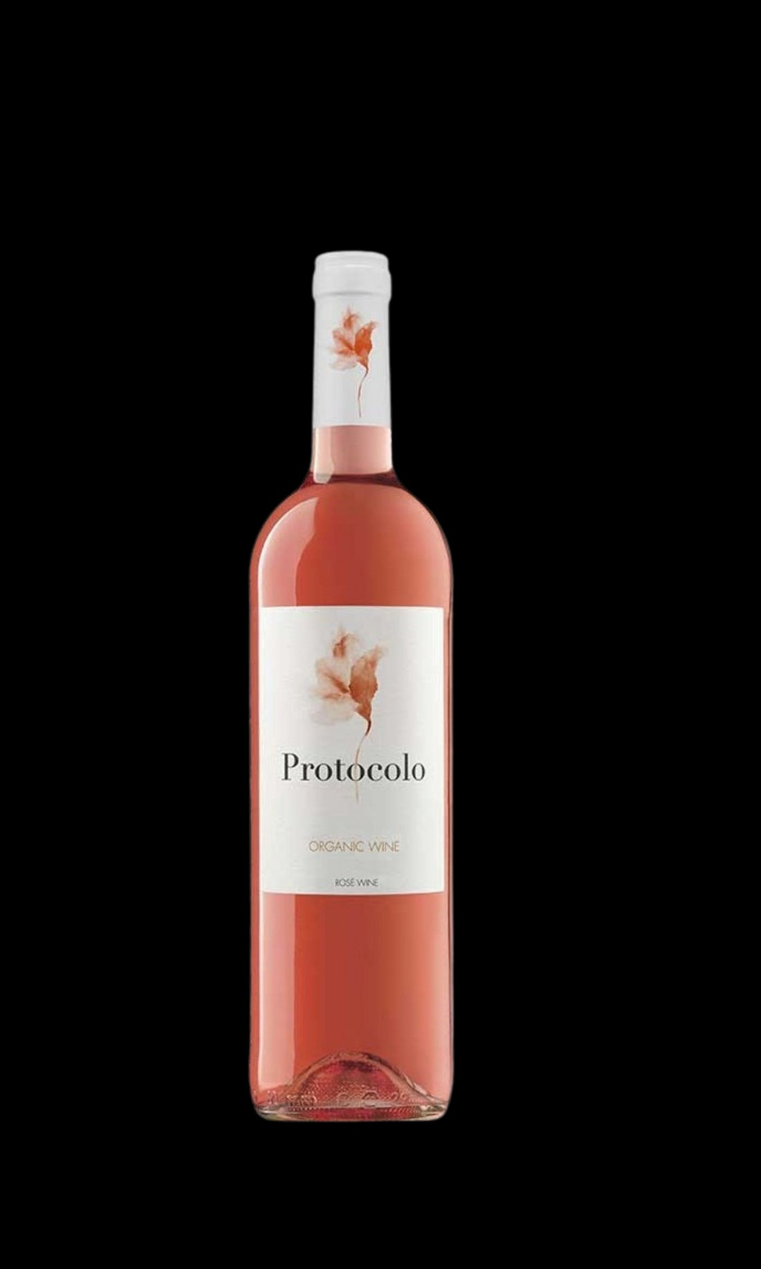 Protocolo